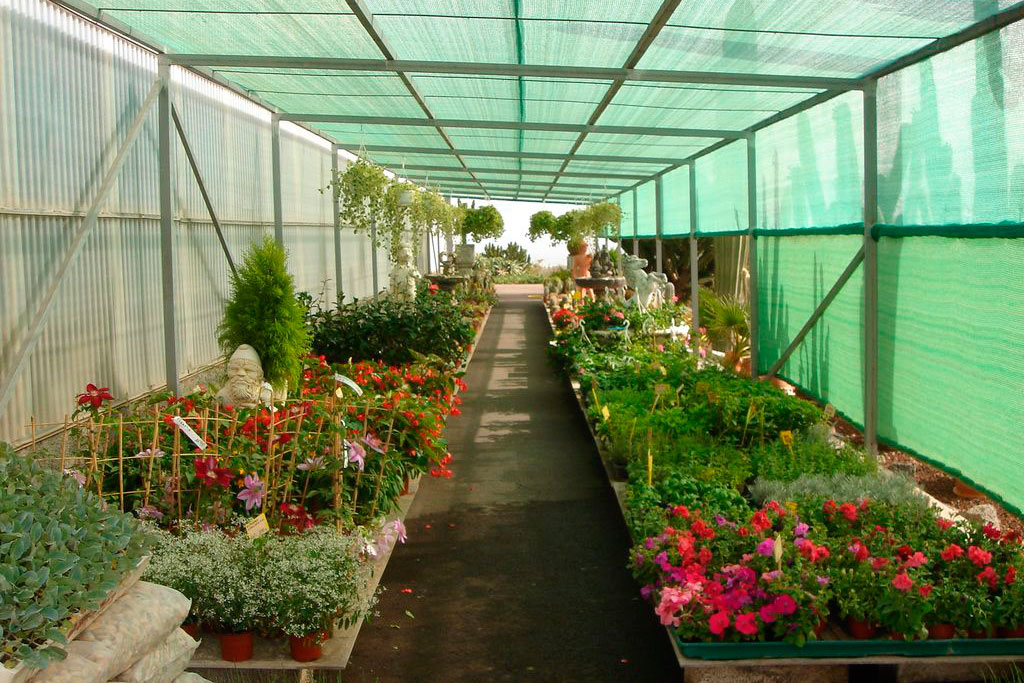 Cercados y ocultación para jardines en Tenerife - Lalyflor