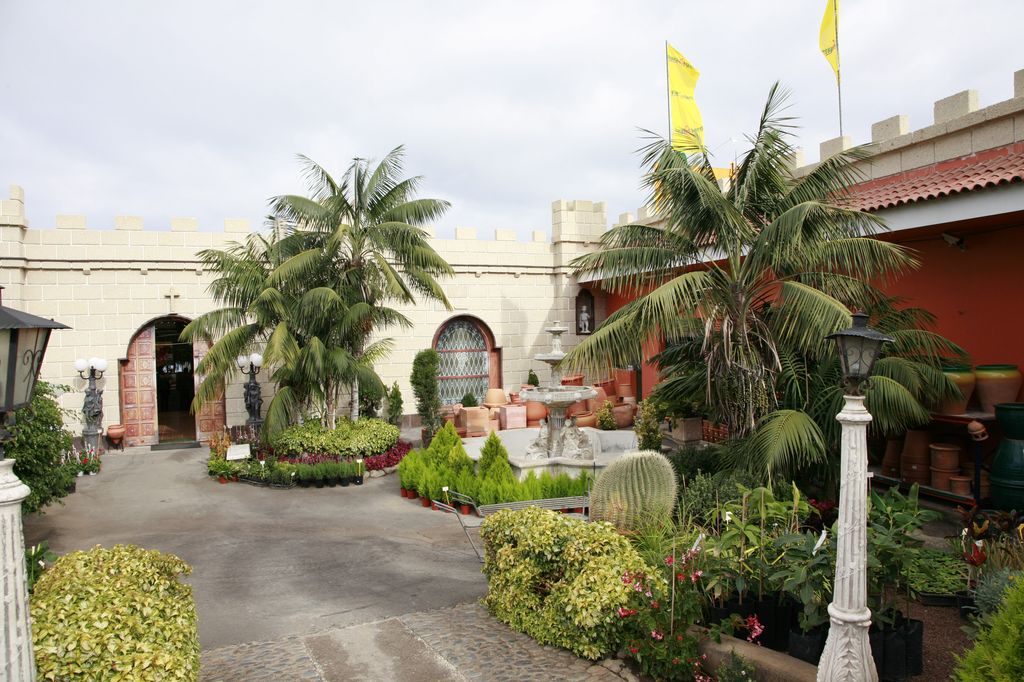 Plantas y productos de Jardinería El Castillo 4
